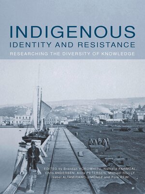 cover image of Indigenous Identity and Resistance